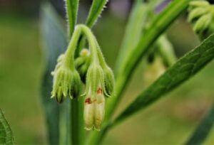 ニキビ治療に悩むメンズにおすすめの方法は？