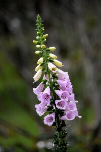 ニキビ跡の治療はどこがいい？