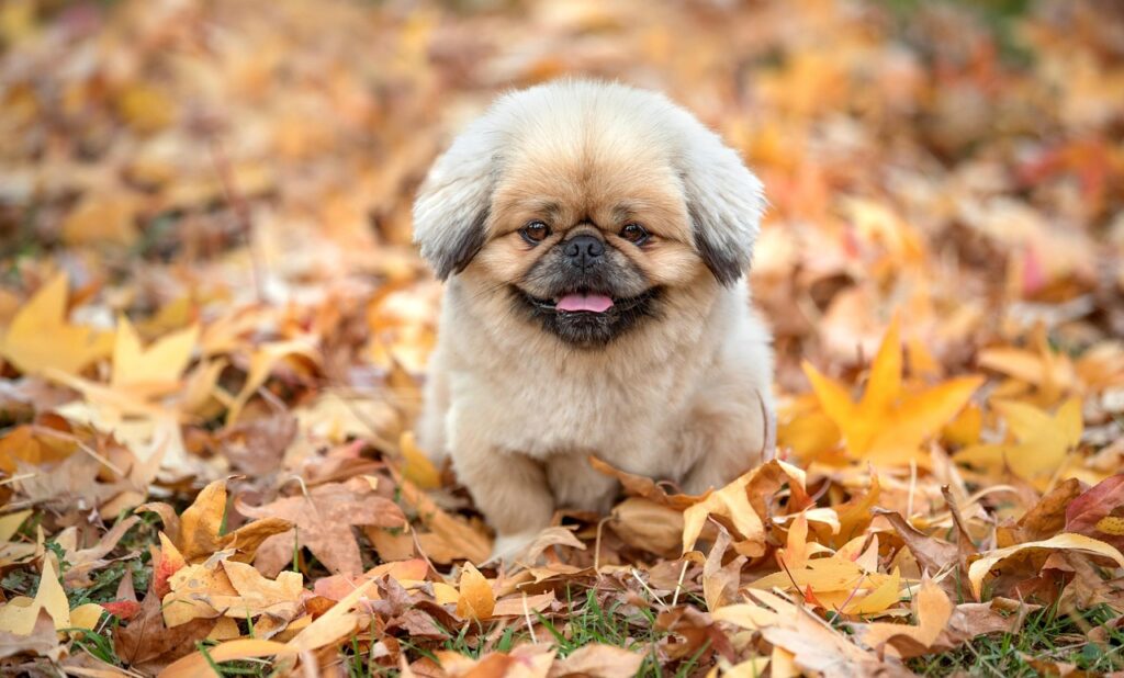 ニキビが気になる時に皮膚科に行くタイミングはいつ？