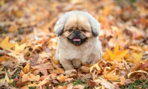 ニキビが気になる時に皮膚科に行くタイミングはいつ？