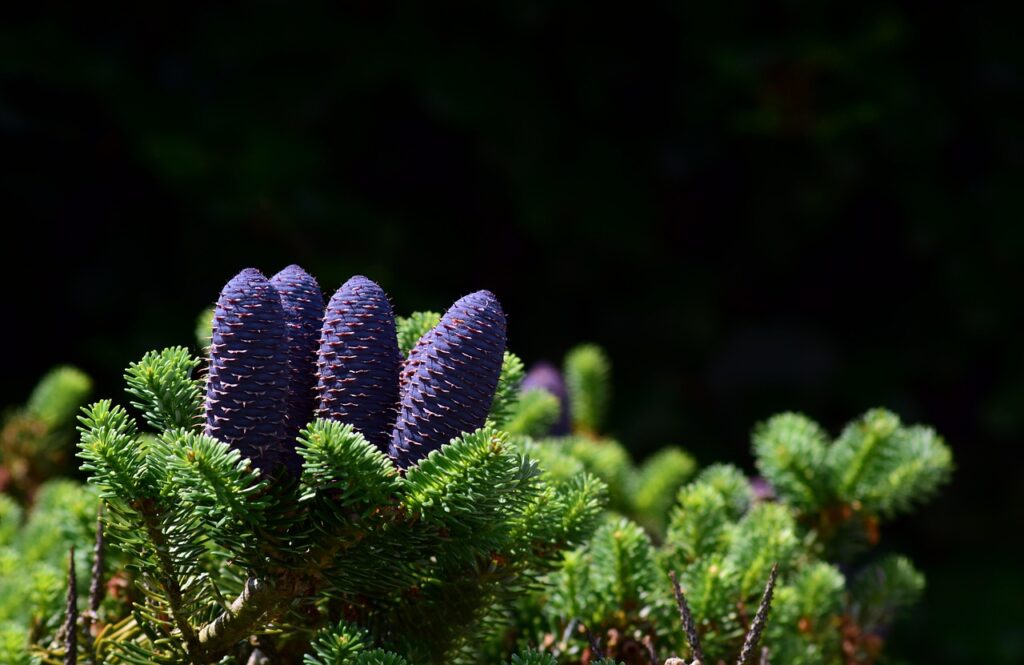 メンズのあごにできたニキビ跡の効果的な消し方は？