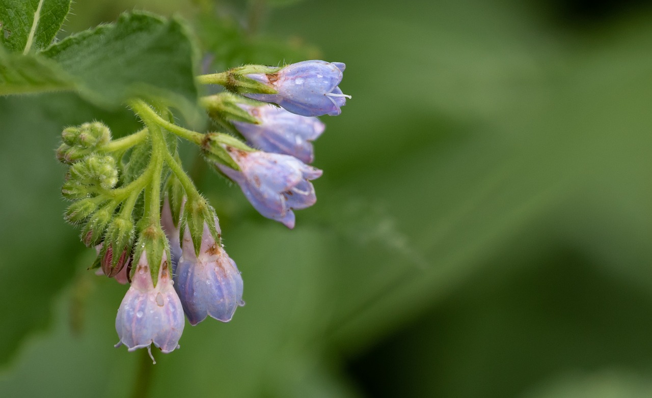 男性のニキビ跡改善で人生が変わる方法は？