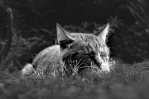 男性のニキビ跡に睡眠は影響ある？