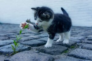 ニキビ跡を男が早く消すための効果的な方法は？