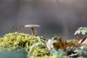 ニキビ跡や男の毛穴詰まりを改善する方法は？