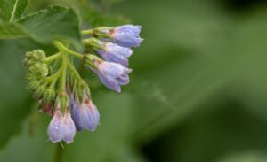 男性のニキビ跡を最短で薄くする方法は？
